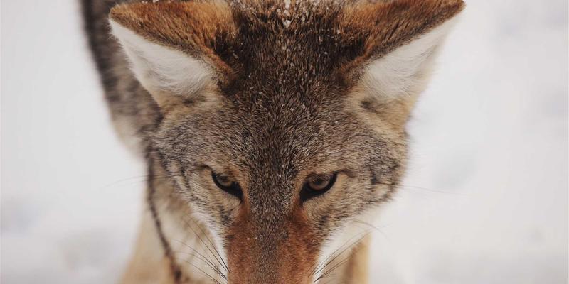 AIops实践指南：从智能故障预测到自动化自愈修复的IT运维革命
