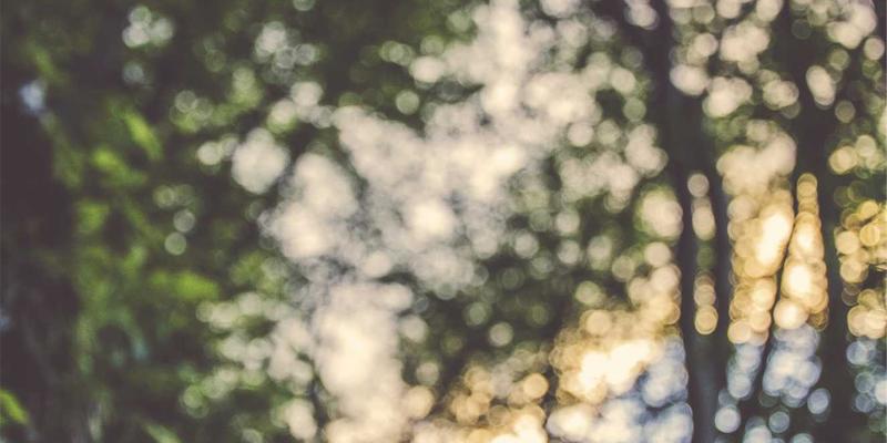 FFSTL2：编程开发者的下一代网络技术资源宝库