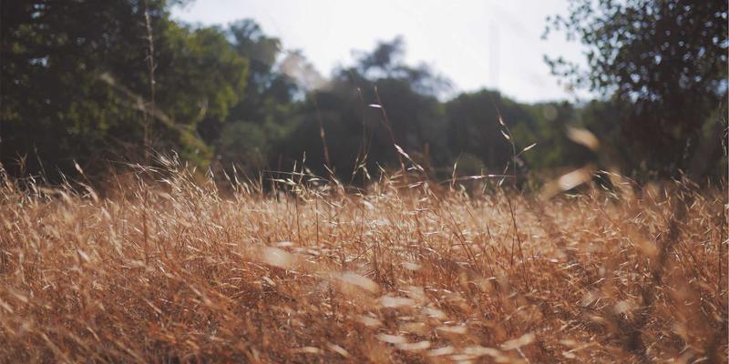 FFSTL2资源分享：零信任网络架构（ZTNA）落地实践全解析，从身份验证到微隔离