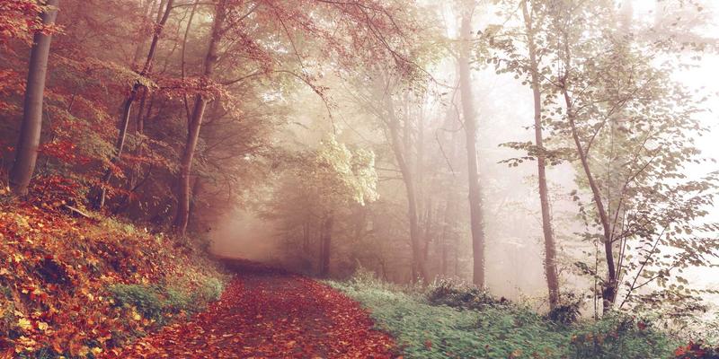 数据中心网络架构演进：从三层CLOS到可编程交换机的网络安全与技术实践