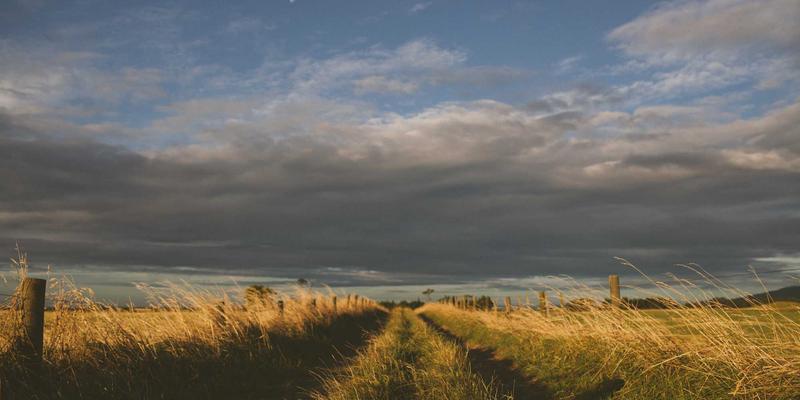 时间敏感网络(TSN)如何重塑工业互联网与自动驾驶：资源分享与网络安全新范式