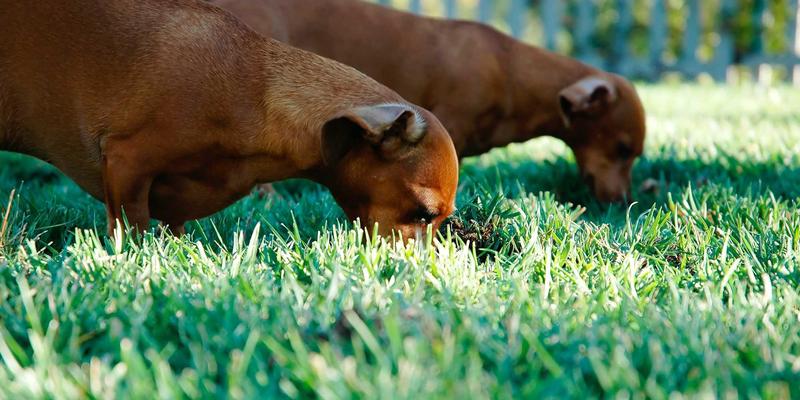 网络功能虚拟化(NFV)如何降低运营成本？IT教程与编程开发实战解析