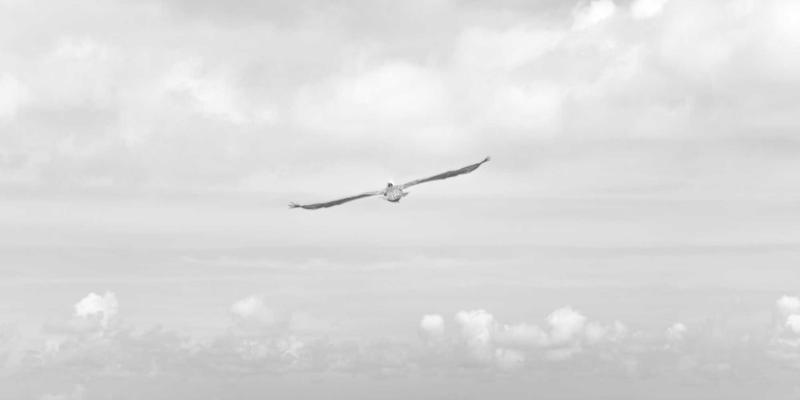 网络即服务(NaaS)商业模式深度解析：企业如何按需消费网络能力与安全资源