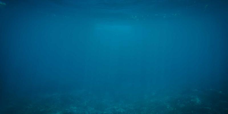 网络技术31：编程开发、网络安全与资源分享的融合之道